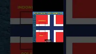 interesting facts about Norway flag 🇳🇴#norway #factsintelugu #kushifacts
