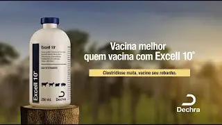 Vacina melhor quem vacina com Excell 10®