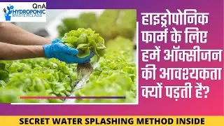 हाइड्रोपोनिक फार्म के लिए हमें ऑक्सीजन की आवश्यकता क्यों पड़ती है?