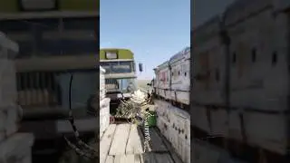 новый вид паука на пасике