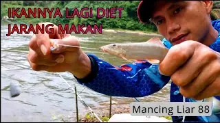 SPOT BAGUS TAPI IKAN LAGI DIET JADI GA MAKAN