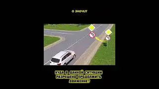 Разбор дорожных ситуаций    https://rutube.ru/channel/24853085