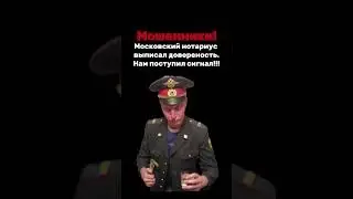 30 июля 2024 г.