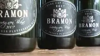 Bramon Wines Garden Route South Africa - Africa Travel Channel