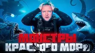 THEY WILL KILL YOU IN EGYPT: Red Sea Monsters