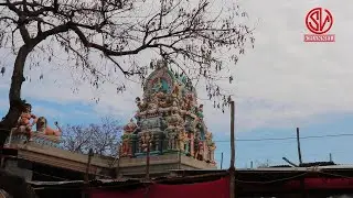 Maha Shivaratri special Vlog in Tamil/சாம்பவர் வடகரை பத்ரகாளி அம்மன் கோவில்