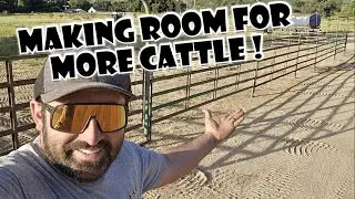 I Must Be CRAZY For Starting This Project. INSANE Heat 🥵 But Our Cows Will Love It !