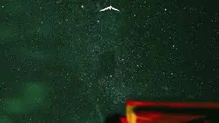 Lintrepy - Don't Need Nobody