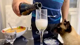 ВЛОГ: ЧТО ПРАЗДНУЕМ? КУДА ИДЕМ С МИШЕЙ?
