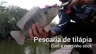 Pescaria de tilápias no stick - morinho stick