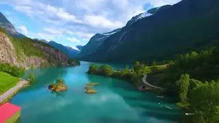 TOPGEAR Immigration Canada
