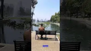 РЕАЛЬНОЕ БОЛОТО В ЦЕНТРЕ ЛОС-АНДЖЕЛЕСА?🦆🌴☀️💦🇺🇸   #америка #путешествия #сша #жизньвсша