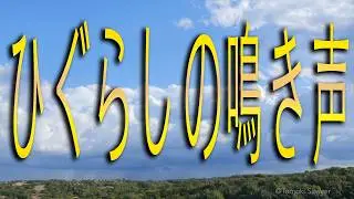 ひぐらしの鳴き声を聞きながら流れる雲を見る / ヒーリングBGM / 勉強用BGM