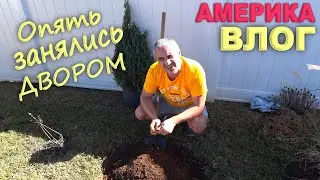 Пришлось все переделать! Эксперимент с травой, занялись двором / Пригодилсиь находки из распаковок