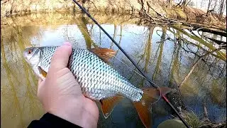 Wiosenne płocie na spinning | gumowe mikro przynęty | Ultralight Fishing | Vlog 91