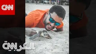 غواص تونسي ساهم بإنقاذ سلاحف بحرية مهددة بالانقراض يكشف عن مشاهد مفجعة صادفها