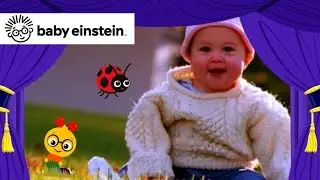 All About Fall | New Classics | Baby Einstein | Learning Show for Toddlers | Cartoons for Kids