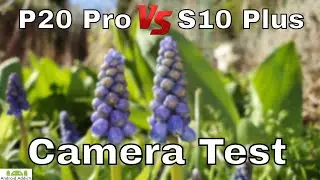 Huawei P20 Pro vs Samsung Galaxy S10 Plus Camera Photo Test