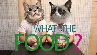 WhatTheFood  ลองอาหารแมวหน่อยนะ