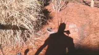 ProAm AutoPilot Stabilizer Test