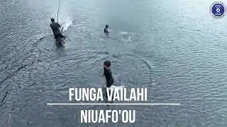 FUNGA VAILAHI