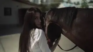 A Girl and a Horse