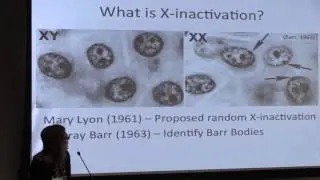 Evolution of Dosage compensation | Melissa Sayres | EvSex