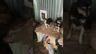 Погода совсем не гулятельная 😊