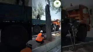 МП "Бишкекзеленстрой" на службе