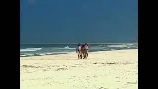 homem leão chega na ilha e ataca pachola Vavá | caminhos do coração