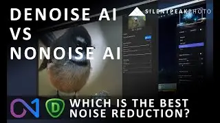 Topaz Denoise AI vs ON1 NoNoise AI 2022 - Which Noise Reduction App is Best?