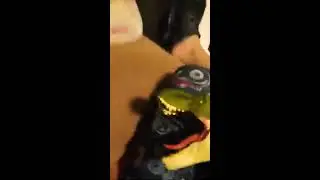 Sexy rexy