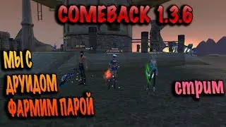 Мы с друидом фармим парой comeback pw 1.3.6