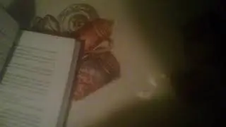 Обзор на книгу фнаф серебриные глаза