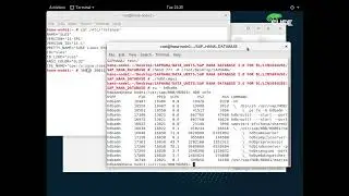 SAP HANA for B1 Installation Guide