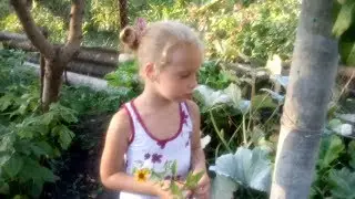 У бабушки на огороде / Собираем абрикосы / Ищем тыквы / Кушаем длинные огурцы.