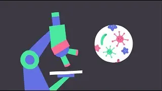 Seed Academic Showreel- Animated Video, Motion Graphics, Animated Explainers and Video Production