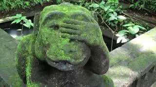 Relaxing Indonesian SPA