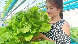 Cooking fish meatballs with Taiwan bok choy, by Beautiful Countryside Life TV