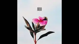 Hodei - Argia