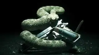 Hitman 5 Absolution