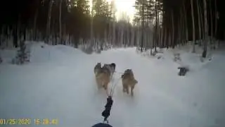 гонки «Созвездие гончих псов: Вода», 25.01.2020 день 1