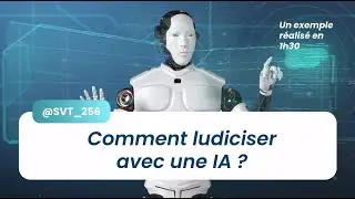 Comment ludiciser avec une IA ?