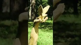 23 августа 2024 г.
