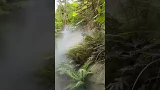 #magic #mistery #fog #mist #nature #туман #красота #мистика