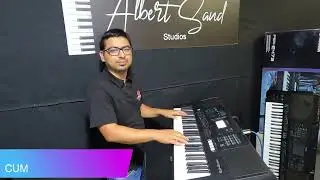 RITMOS SUREÑOS  PSR- E473 YAMAHA //FT ALBERT SAND