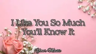 I Like You So Much, You'll Know It (Lyrics) Ysabelle Cuevas