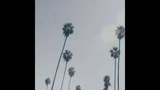 Ocean vibe