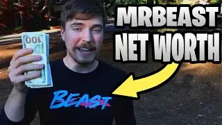 How Much Money Does MrBeast Make? (2020)