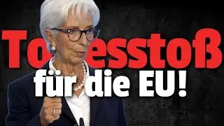 Damit beerdigt die EZB den Euro (Zinssenkung)